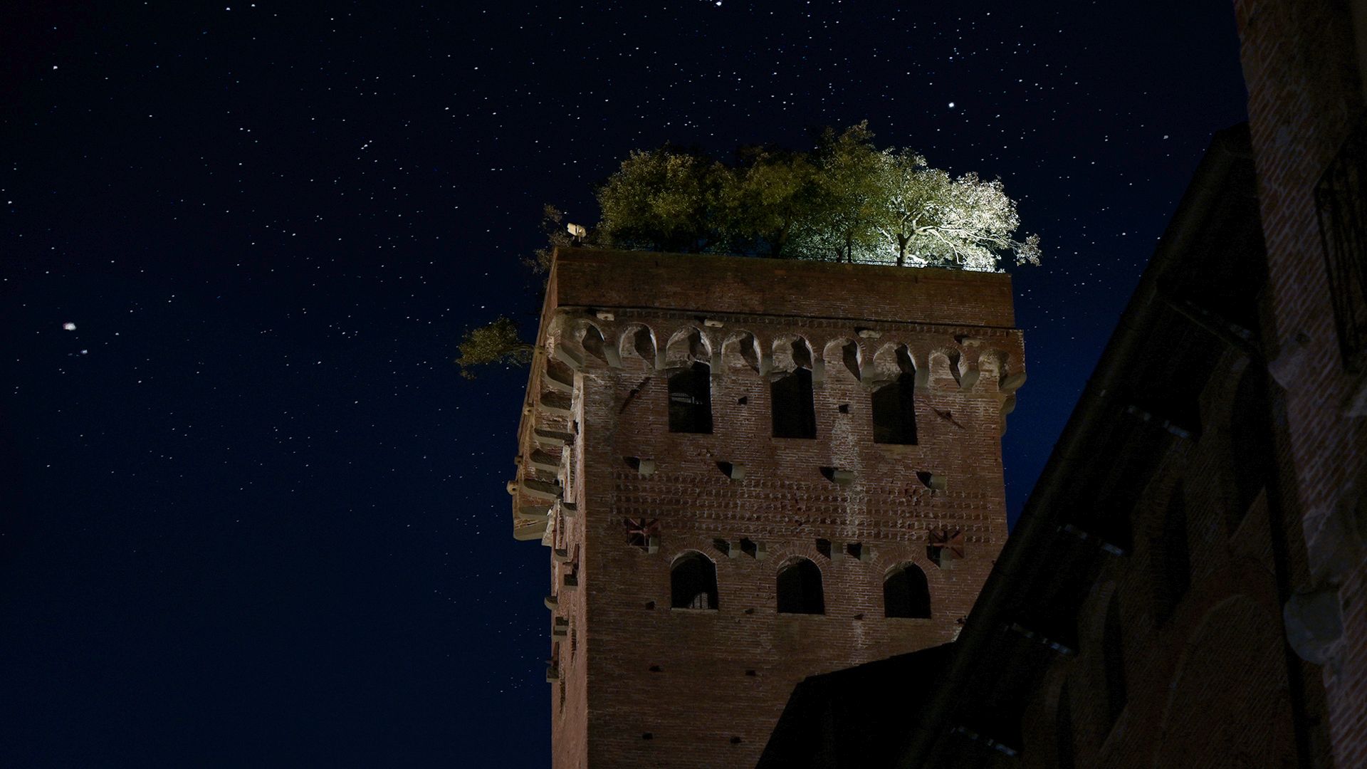lA TOUR GUINIGI DE LUCCA SOUS LE CIELS