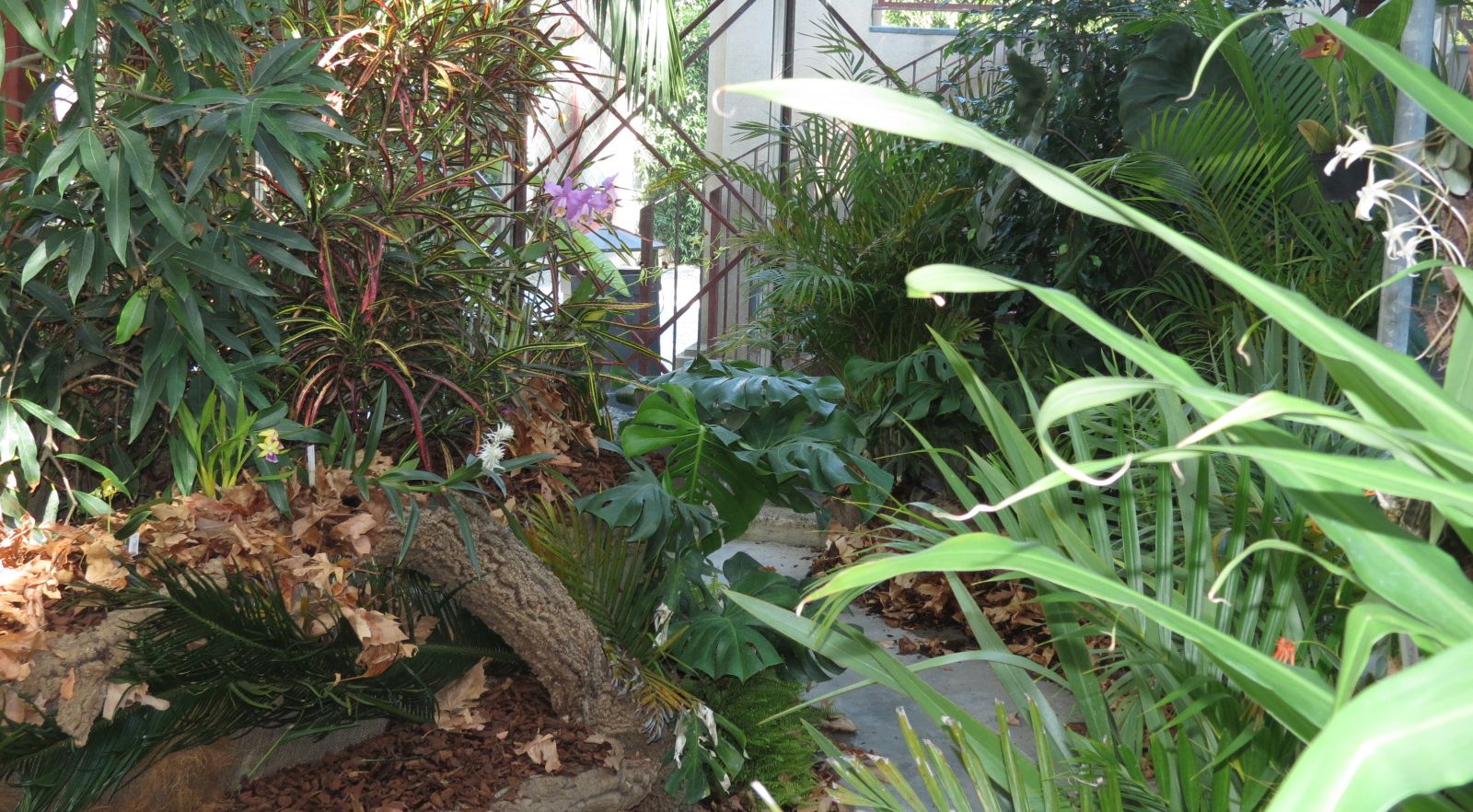 Murabilia, Lucca 1,2,3 settembre 2023