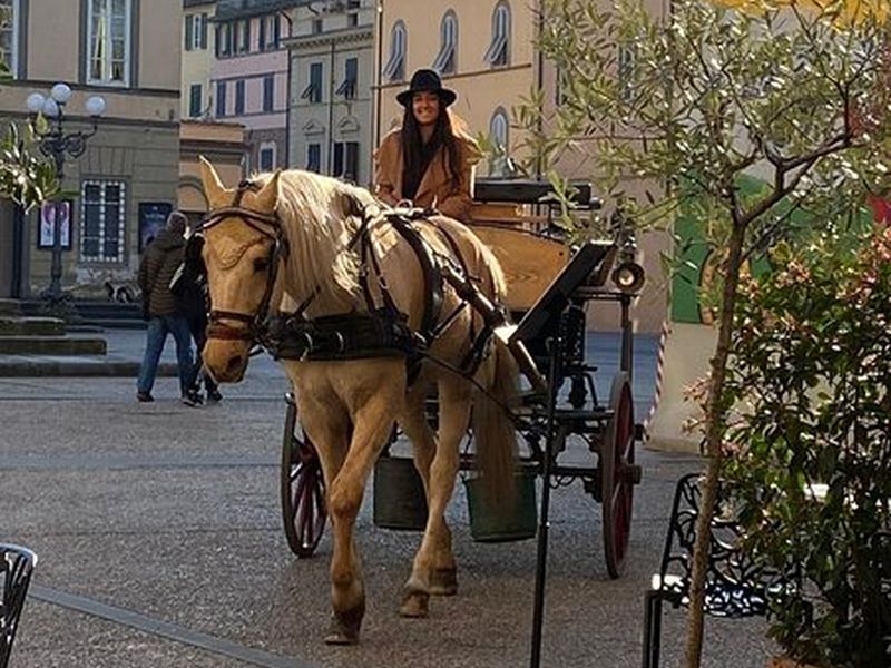lucca in carrozza