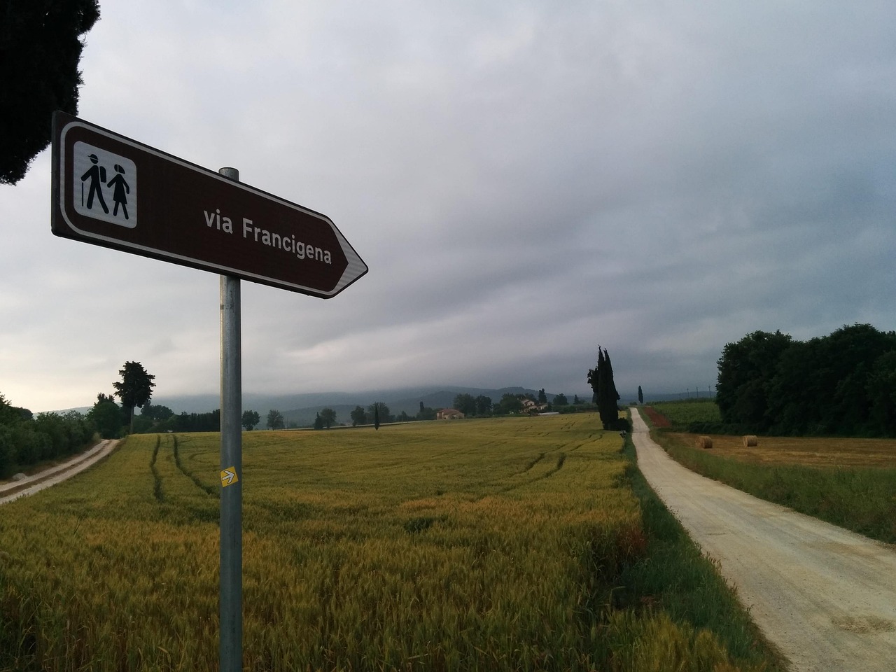 un cartello indica la via francigena in un sentiero tra i campi