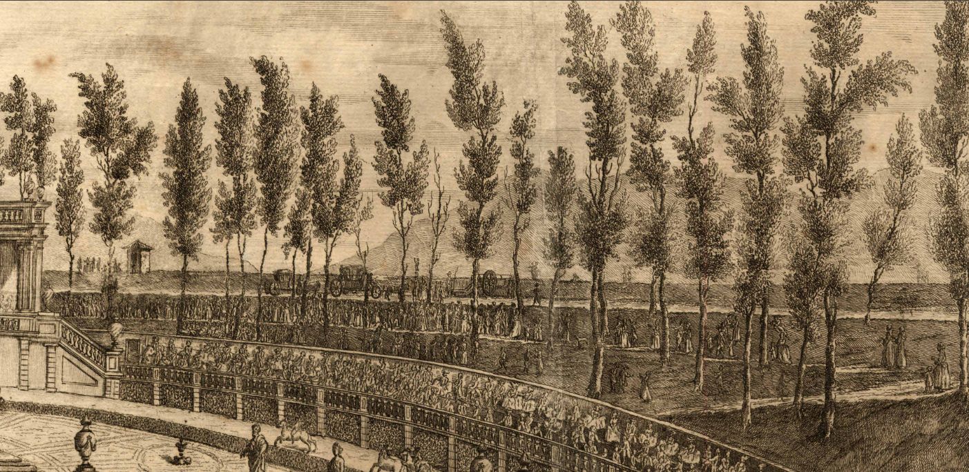 Le Mura e gli alberi - disegno