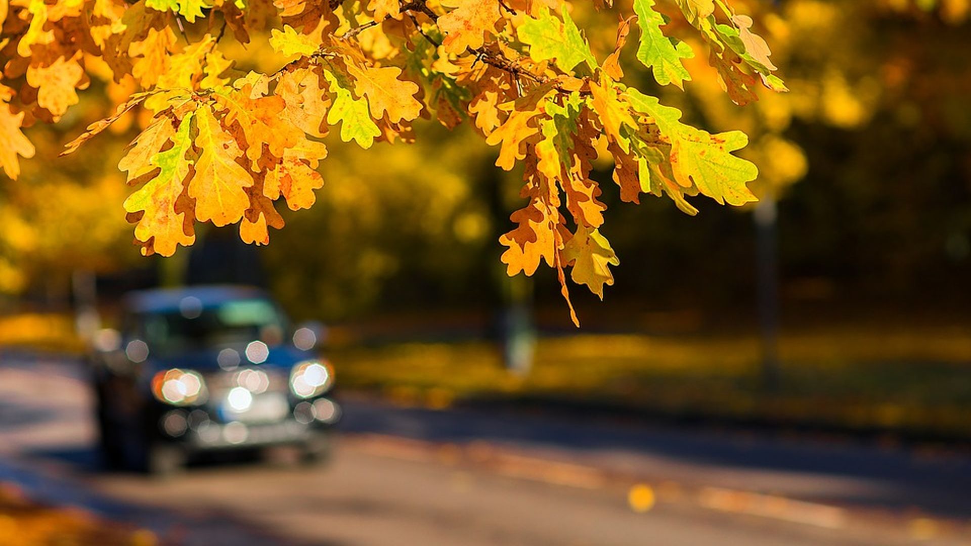 gita in autunno in lucchesia