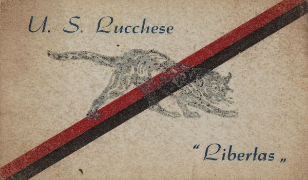 Lucchese120 - Tessera sociale con la pantera e una fascia diagonale con i colori di Lucca