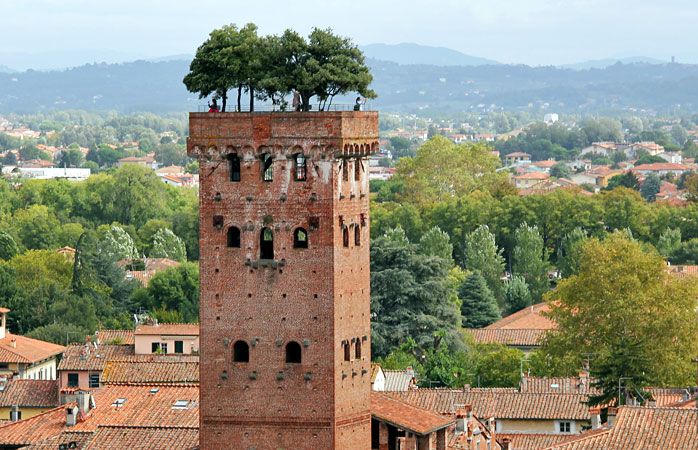 tore guinigi a lucca
