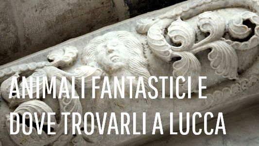 animali fantastici a lucca