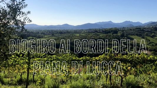 bike tour on Lucca hills