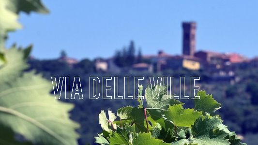 bike tour at the lucca's villas