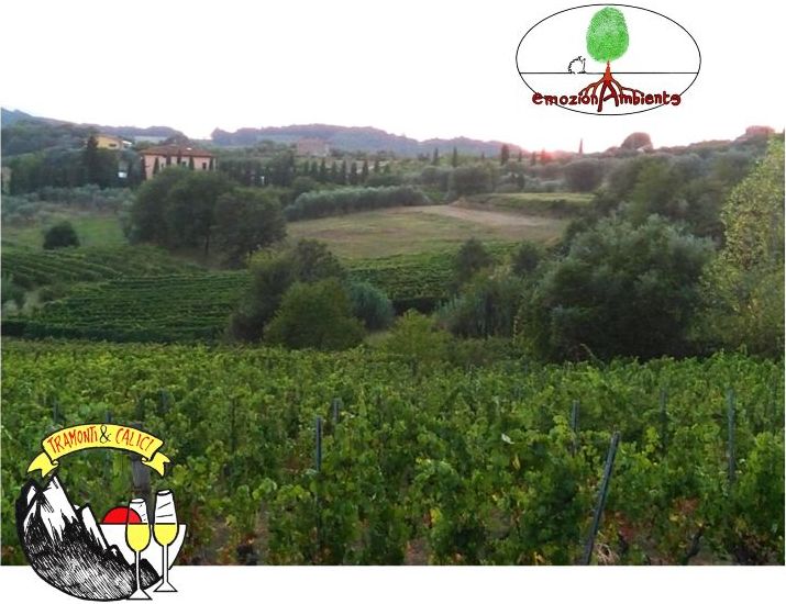 Sunset with a glass of wine - excursions with aperitif in montecarlo Lucca 