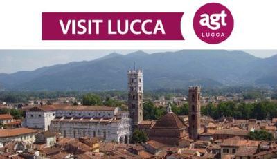 safari guide - guided tour of lucca 2021-2022