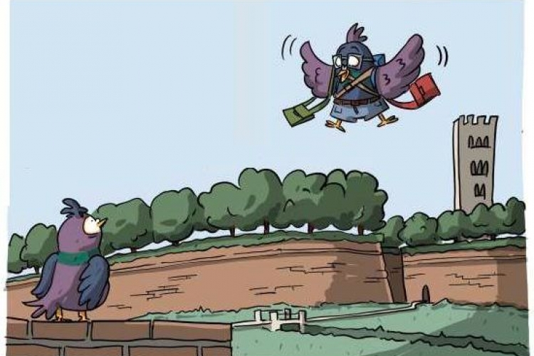 drawing of gino the pigeon